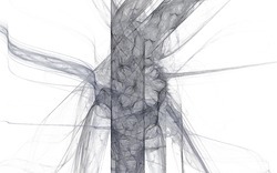 2014 12 15 Shadow Play 012-white.jpg